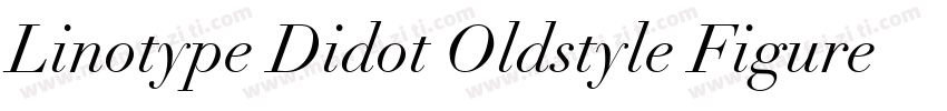 Linotype Didot Oldstyle Figures RomanI字体转换